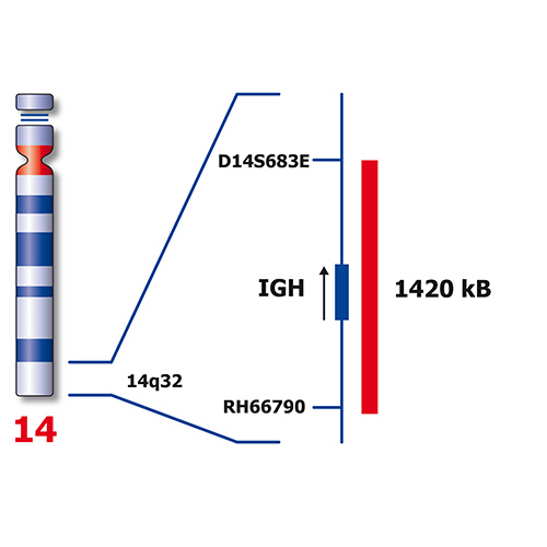 IVD BCL2/IGH (tissue) Foto do produto Back View S